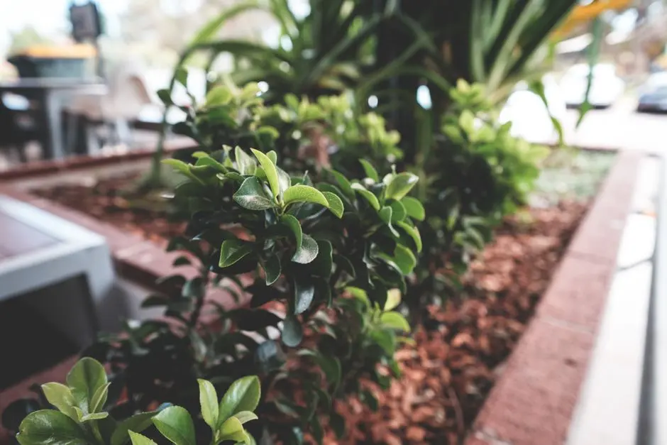 Greens & Outdoors at SHAPOORJI PALLONJI KHOPOLI, Khopoli