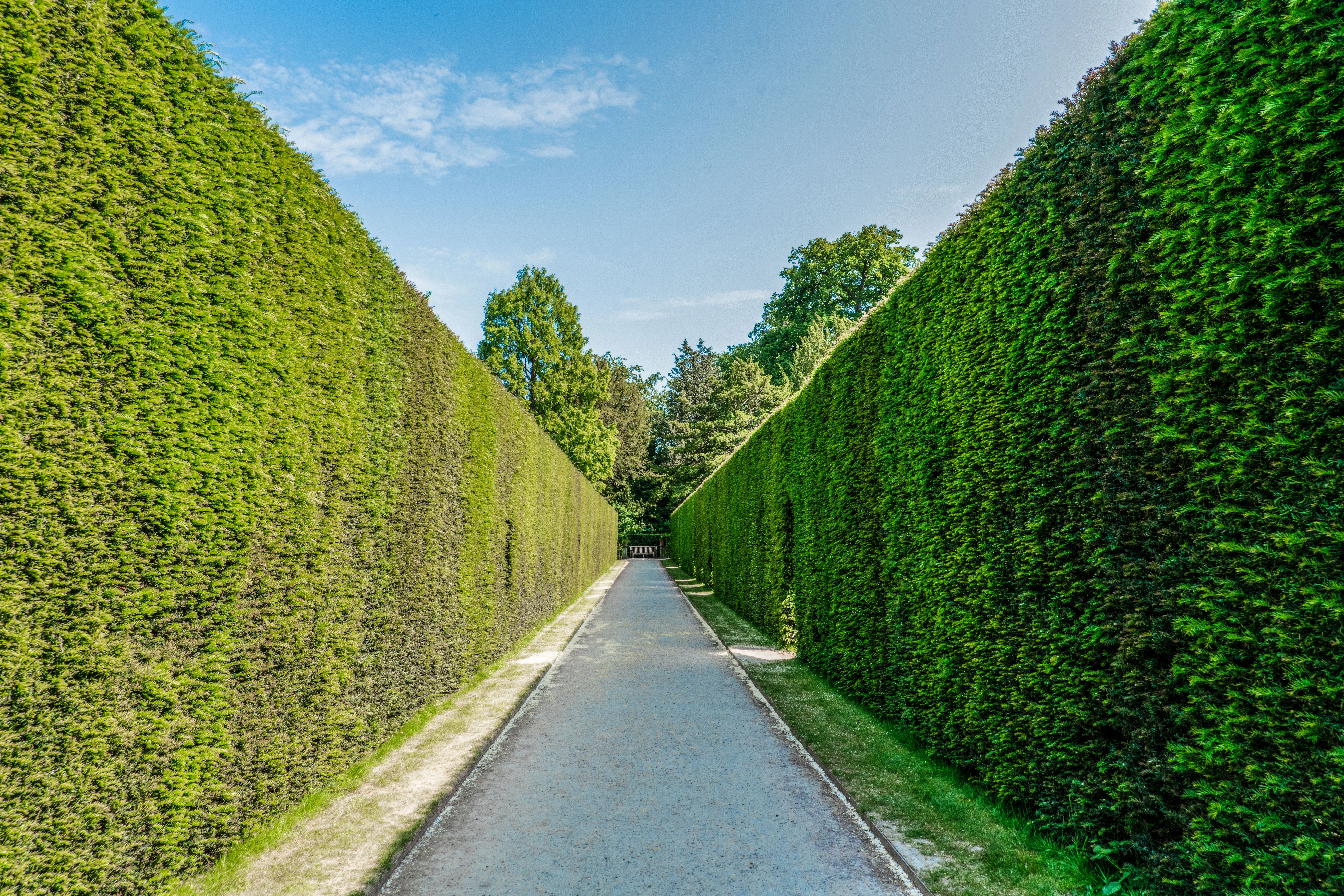 Greens & Outdoors at SHAPOORJI PALLONJI TREETOPIA, Jadhavwadi, Purandhar, Pune