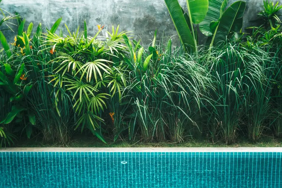 Greens & Outdoors at SHAPOORJI PALLONJI JOYVILLE HELIUS, Hinjawadi, Pune
