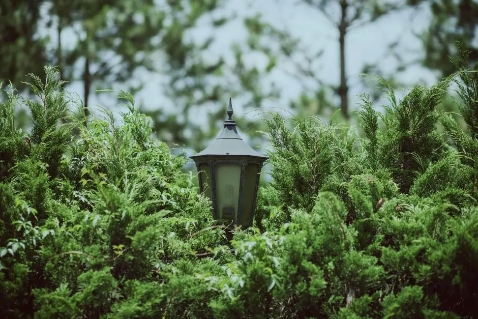 Greens & Outdoors at SHAPOORJI PALLONJI EVERRA, Manjri, Pune