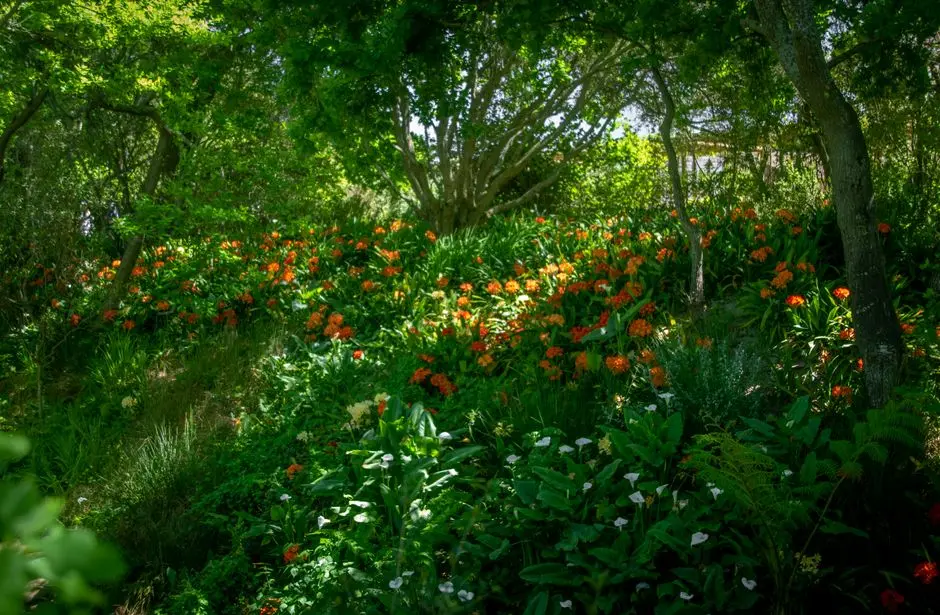 Greens & Outdoors at SHAPOORJI PALLONJI PARKWEST SEQUOIA, Binnypet, Bangalore
