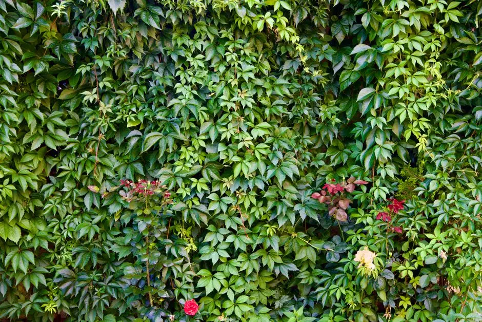 Greens & Outdoors at SHAPOORJI PALLONJI SKYRAA, Pokhran Road No. 2, Thane