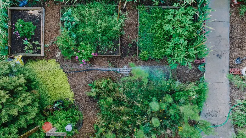 Greens & Outdoors at SHAPOORJI PALLONJI JUHU, Mumbai