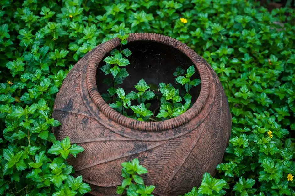 Greens & Outdoors at SHAPOORJI PALLONJI TITAN TOWER (AT JOYVILLE CELESTIA), Hadapsar Annexe, Pune