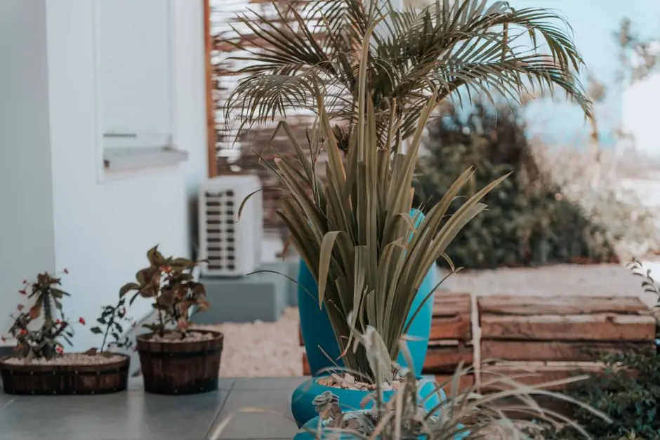 Greens & Outdoors at SHAPOORJI PALLONJI MANESAR, Sector 8, Gurgaon