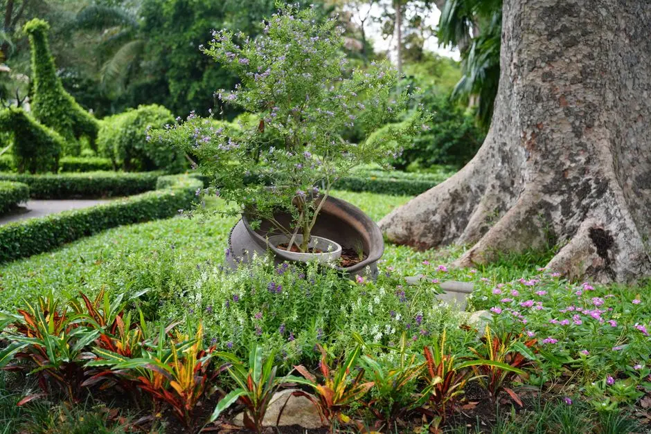 Greens & Outdoors at SHAPOORJI PALLONJI SECTOR 143B NOIDA, Noida